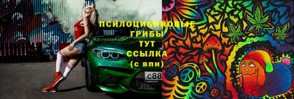 экстази Алексин
