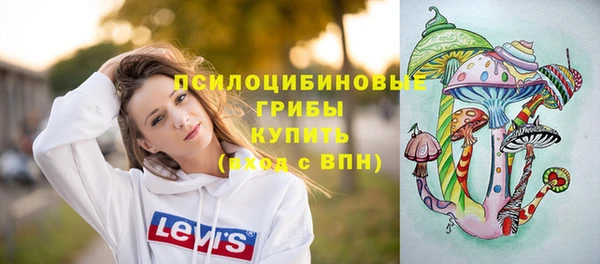 экстази Алексин