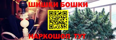 гидра Рузаевка