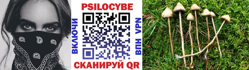 Псилоцибиновые грибы ЛСД цена наркотик Томск