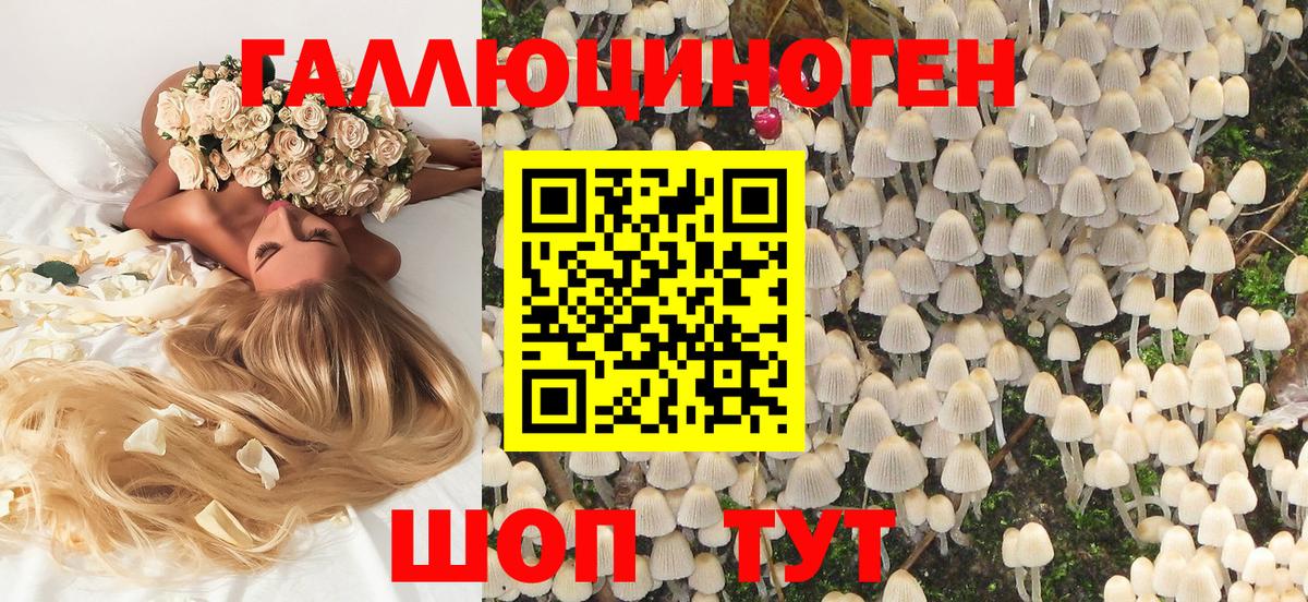 Томск  Псилоцибиновые грибы GOLDEN TEACHER  Вход с VPN 