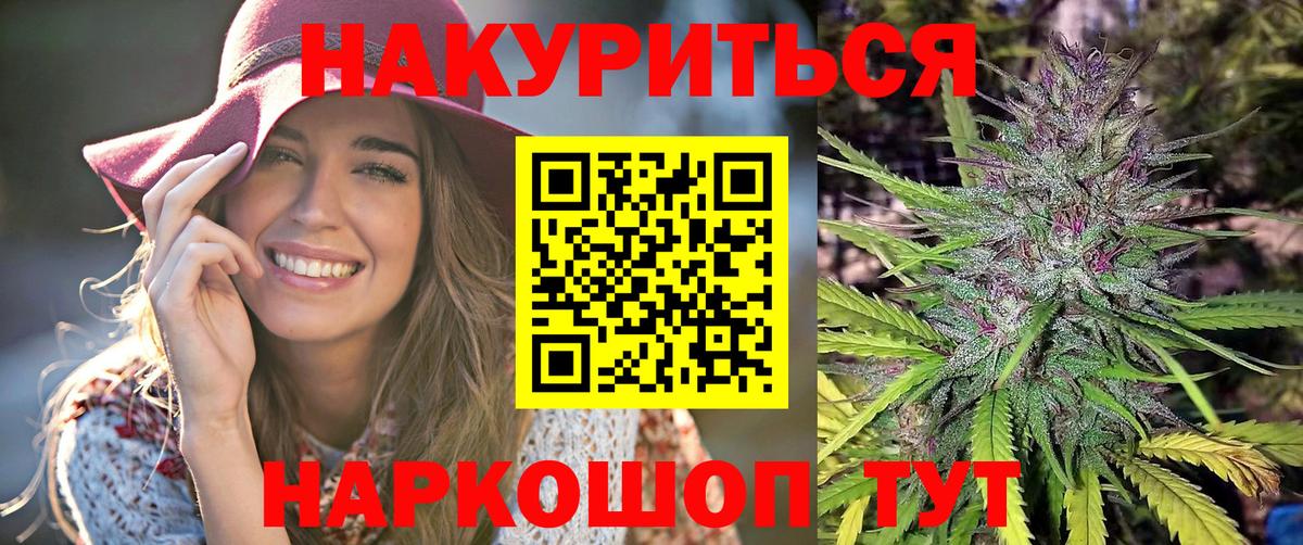 Бошки Шишки план Томск